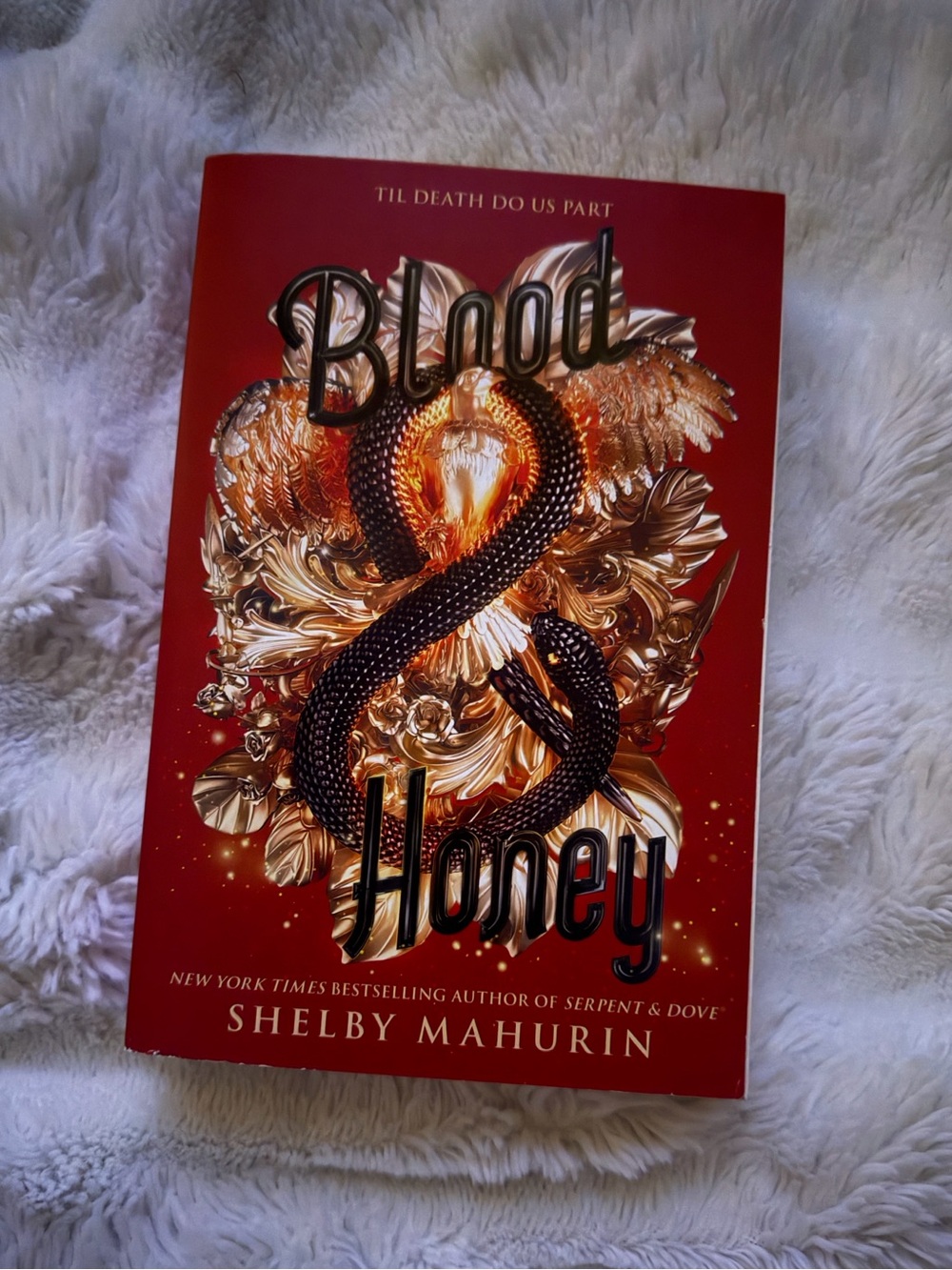 Blood & Honey - Shelby Mahurin